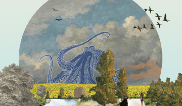 Atoyac Riviera Oaxaca