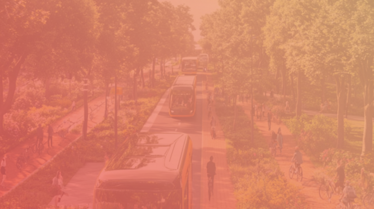 Diseño de vialidades y su impacto en las ciudades