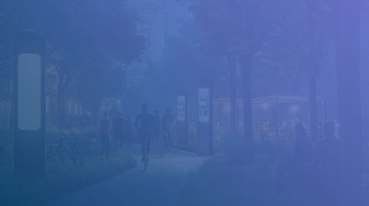 Bosques Urbanos 24/7: Cómo la Vida Nocturna Puede Convertirlos en Espacios Seguros y Vibrantes